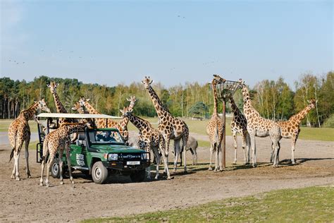 safaripark beekse bergen themeparkplanner