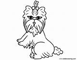 Coloring Yorkshire Terrier Pages Kids Printable sketch template