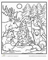Forest Animals Coloring Pages Color Drawing Simple Animal Christmas Holiday Worksheet Choose Board Adult Getdrawings Deer Dog sketch template