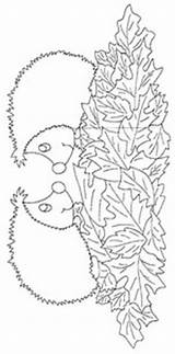Hedgehogs Kids Fun Coloring Pages Egel sketch template