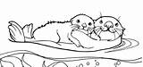 Otter Otters Kolorowanki Wydra Dzieci Dory Bestcoloringpagesforkids sketch template
