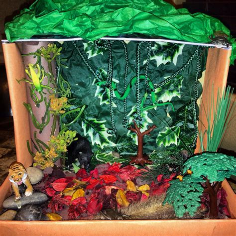 rainforest diorama    box sixteenth streets