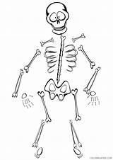 Skeleton Coloring4free Pages Coloring Pirate Printable Halloween Happy Kids sketch template
