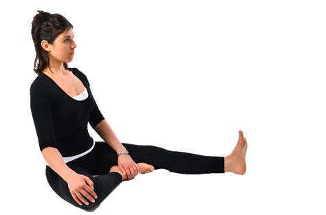 easy yoga poses  pregnancy  trimester