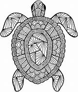 Turtle Tortue Coloriages Zen Gratuits Incroyable Difficile Tortues Beau Aboriginal Inspirant Adulte Benjaminpech sketch template