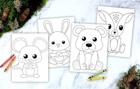 printable woodland animal coloring book  kids
