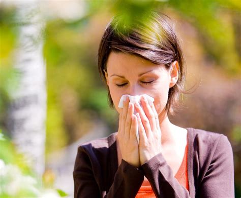 herbs and acupuncture to cure allergic rhinitis body