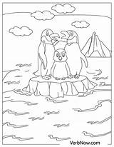 Penguin Penguins Verbnow sketch template