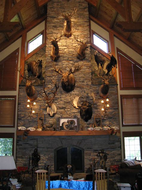 dont  mounts   lot    cool trophy rooms hunting room home bar