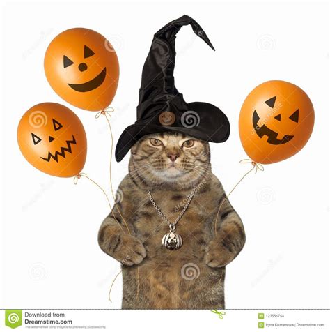 katt med halloween ballonger arkivfoto bild av 123551754