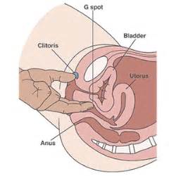 G spot sex video