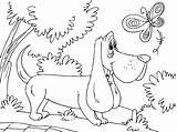 Coloring Dog Hunting Pages Printable Large sketch template