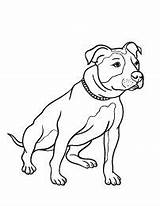 Pitbull Terrier Cane Tiernos Staffy Cani Staffordshire Lapiz Hilos Clavos Hund únicos Stampare Colouring Remeras Pitbulls Perro Inspiradores Oscuros Divertidos sketch template