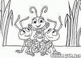 Colorkid Coloring Bugs Life sketch template