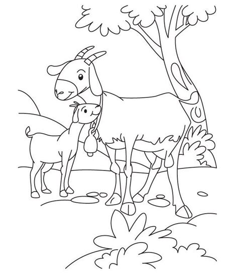 baby goat  mom coloring page print  goat family