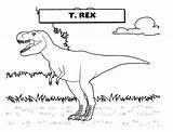 Rex Coloring Dinosaur Freecoloringpages Via Tag sketch template