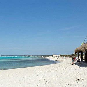 playa es calonet des fornas llucmajor