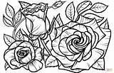 Rose Coloring Pages Roses Printable Supercoloring Sheets Print Beautiful Flowers sketch template