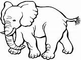 Coloring Pages Kids Elephants Elephant Printable sketch template