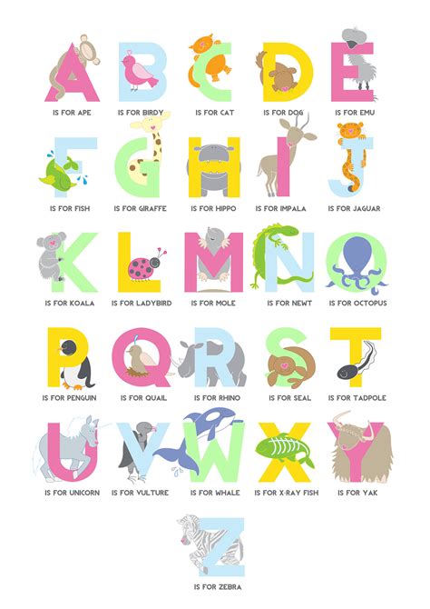 animal alphabet  behance