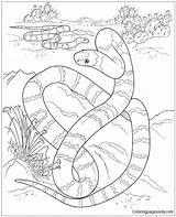 Coloring Pages Desert Snake Year Chinese Kids Snakes Cute Activity Color Printable Habitat Print Getdrawings Getcolorings sketch template