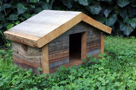 lovely  birdhouse designs   bird house finch bird house bird houses
