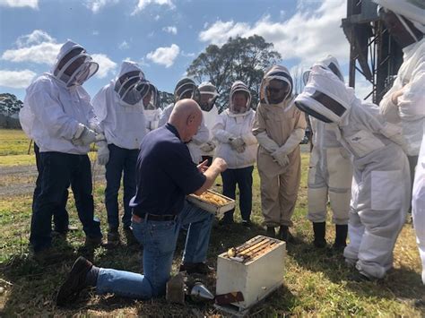 beekeeping for community and environment website local