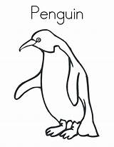 Coloring Penguin Pages Little Blue Template sketch template