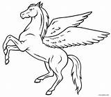 Pegasus Coloring Pages Unicorn Kids Outline Drawing Simple Printable Realistic Print Template Adults Constellation Cool2bkids Drawings Horse Line Wings Getdrawings sketch template