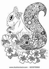 Coloring Squirrel Drawing Zentangle Adults Mandala Pages Flowers Doodle Illustration Vector Animal Adult Color Zentangl Stress Anti Children Squirrels Animation sketch template