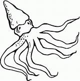 Octopus Coloring Pages Cartoon Kids Printable Ringed Blue Clipart Realistic Bestcoloringpagesforkids Cliparts Library Devil Draw Fish Presentations Projects Use Websites sketch template