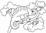 Chameleon Coloring Pages Mixed Para Colorear Printable Camaleon Carle Eric Color Printables Animals Dibujos Animales 1413 Kids Sheets Template Crafts sketch template