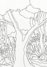 Rainforest Coloring Pages Amazon Drawing Treasures Wild Getdrawings Tree Vegetation Designs Some Print sketch template