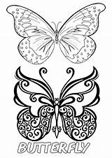 Coloring Butterfly Pages Printable Info Insect Two sketch template
