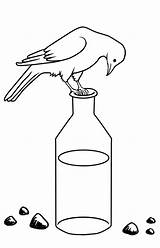 Crow Coloring Thirsty Water Sketch Clipart Bottle Pages Meihua Cliparts Library Deviantart sketch template