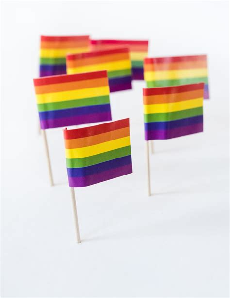 Rainbow Flag Toothpicks 100 Box Qx Shop