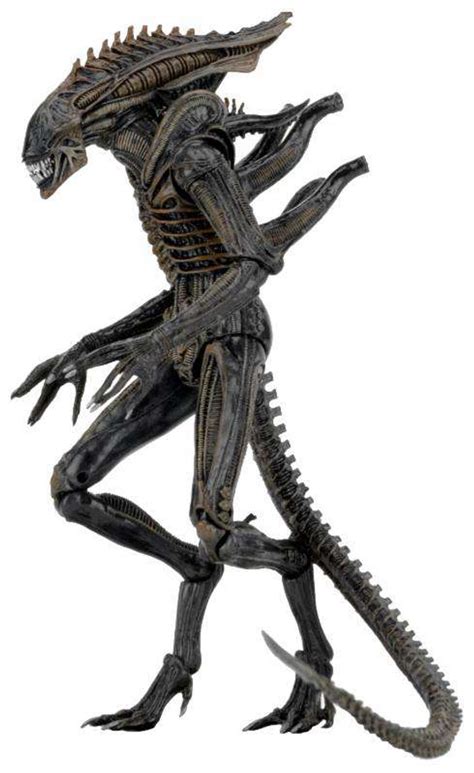 neca aliens series  xenomorph defiance  action figure dark horse toywiz