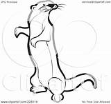 Mongoose Standing Coloring Outline Clipart Illustration Royalty Pages Rf Perera Lal Printable Background Cartoon Version sketch template
