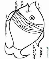Ausmalbilder Pisces Peixes Colorir Desenhos Fishes sketch template