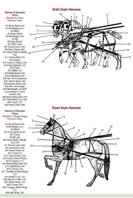 httpwwwdiscover horse carriage drivingcom harness parts html carriage driving horse