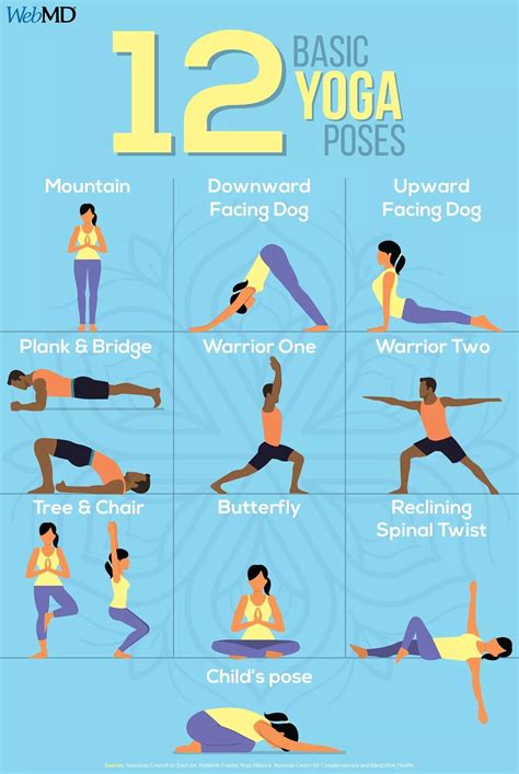 yoga basic positions  fit