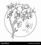Cherry Blossom Coloring Book Vector Royalty sketch template