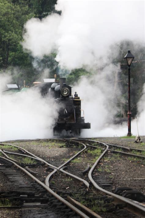puffing billy  photo  freeimages