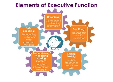 definitions  executive function smarts
