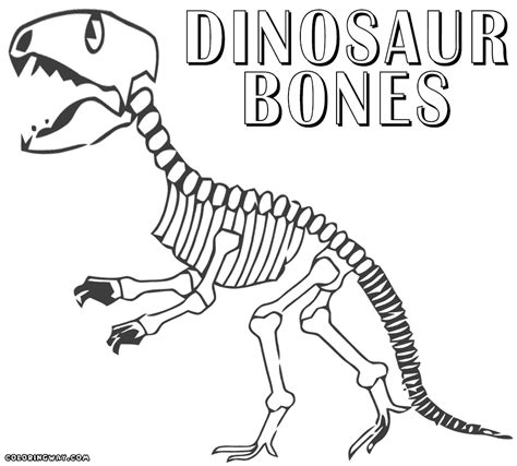 printable dinosaur skeletons printable word searches