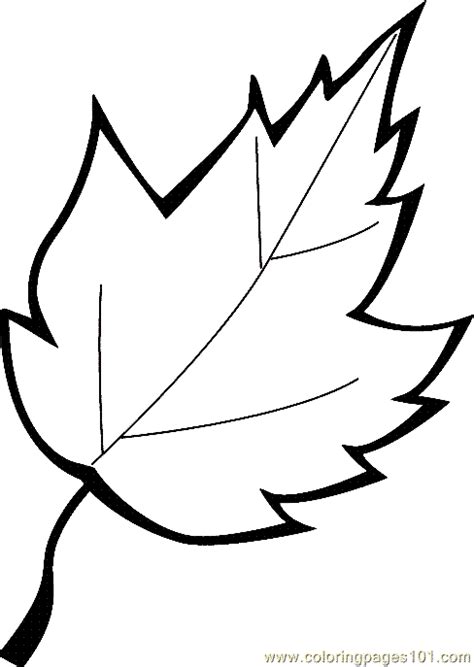 leaf coloring page  printable coloring page  kids  adults