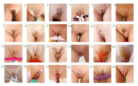 types of pussy 8 pics xhamster