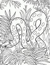 Snake Coloring Pages Colouring Printable Adult Realistic Detailed Animal Letscolorit Mandala Zoo Only Choose Board sketch template