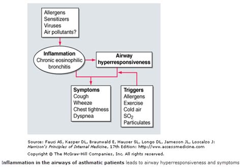 sikkahoder bagaimana proses terjadinya asma  pengobatan asma