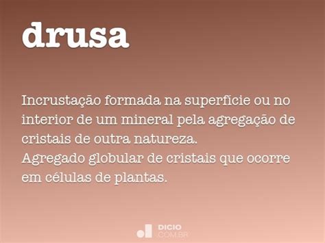 drusa dicio dicionario  de portugues
